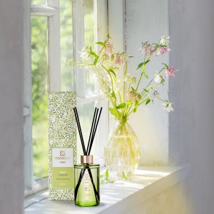 Soft Verbena